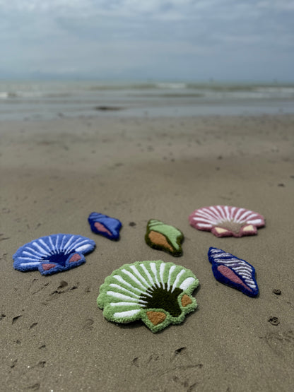 Coquille (différents coloris)