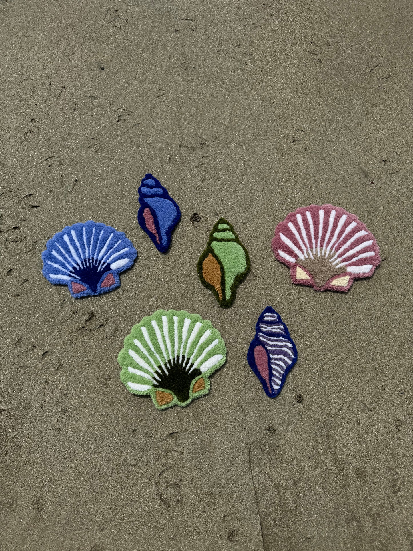 Coquille (différents coloris)